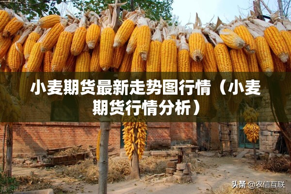 小麦期货最新走势图行情(小麦期货行情分析) 小麦期货最新走势图行情(小麦期货行情分析)