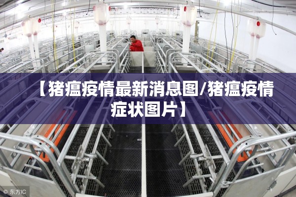 【猪瘟疫情最新消息图/猪瘟疫情症状图片】 【猪瘟疫情最新消息图/猪瘟疫情症状图片】