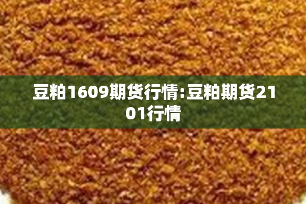 豆粕1609期货行情:豆粕期货2101行情 豆粕1609期货行情:豆粕期货2101行情