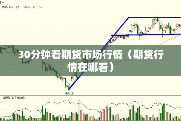 30分钟看期货市场行情（期货行情在哪看）