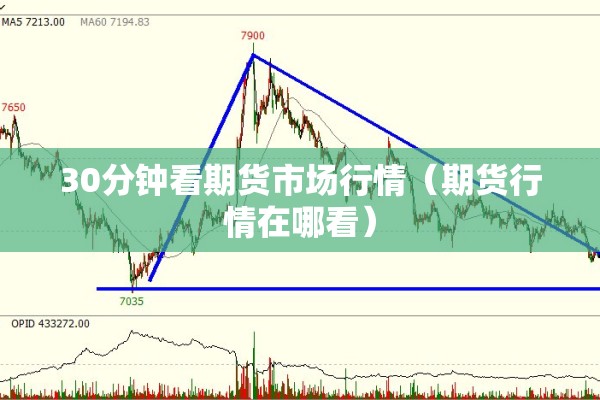 30分钟看期货市场行情（期货行情在哪看）