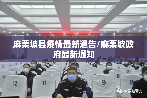 麻栗坡县疫情最新通告/麻栗坡政府最新通知 麻栗坡县疫情最新通告/麻栗坡政府最新通知
