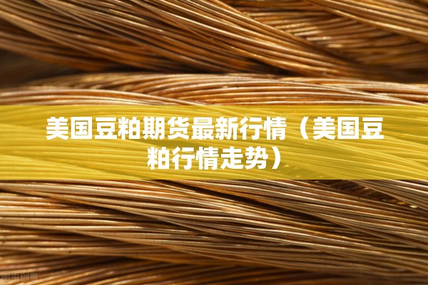 美国豆粕期货最新行情（美国豆粕行情走势）