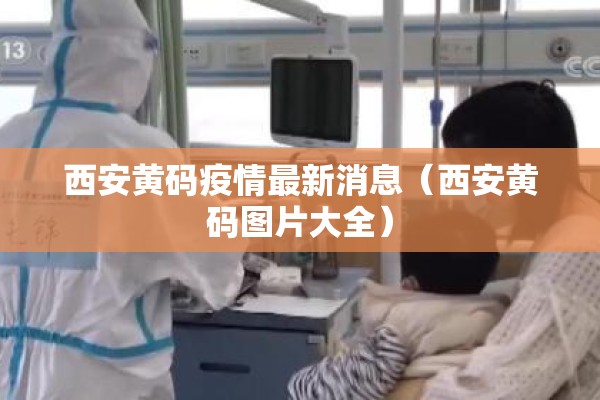 西安黄码疫情最新消息（西安黄码图片大全）