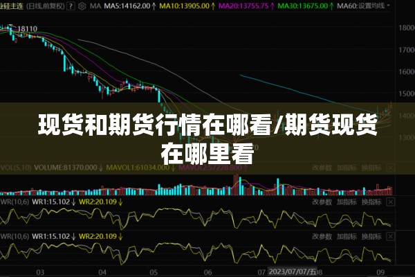 现货和期货行情在哪看/期货现货在哪里看