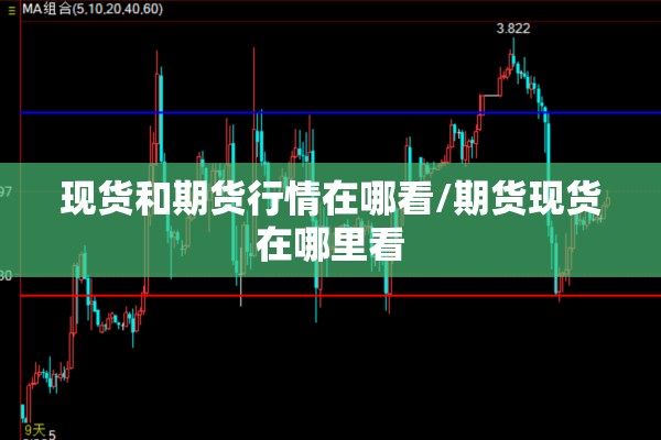 现货和期货行情在哪看/期货现货在哪里看
