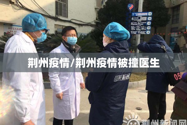 荆州疫情/荆州疫情被撞医生