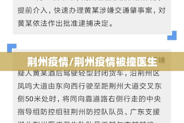 荆州疫情/荆州疫情被撞医生