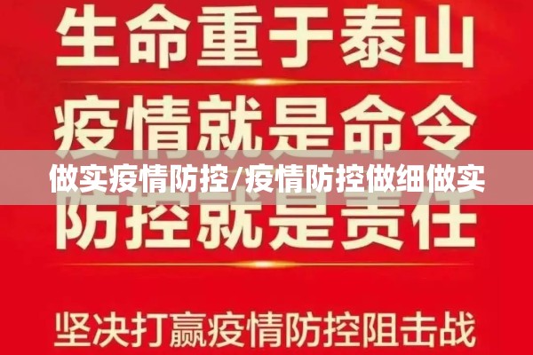 做实疫情防控/疫情防控做细做实