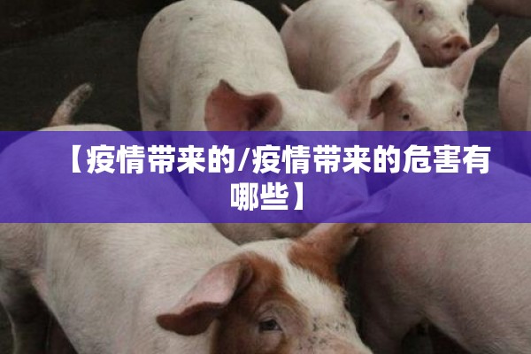 【疫情带来的/疫情带来的危害有哪些】 【疫情带来的/疫情带来的危害有哪些】