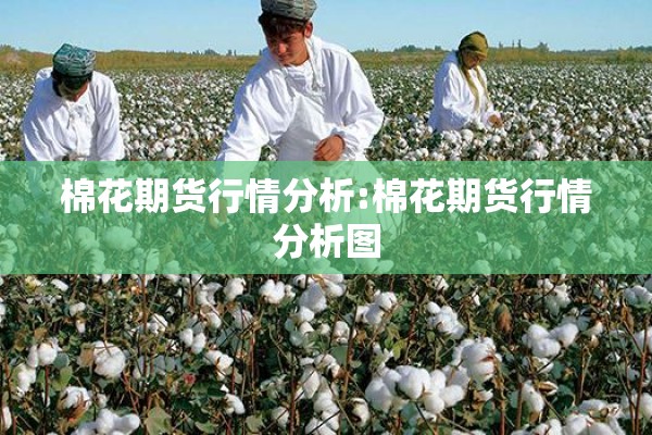 棉花期货行情分析:棉花期货行情分析图