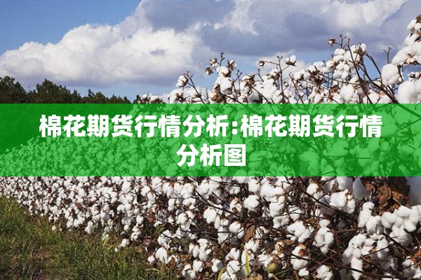 棉花期货行情分析:棉花期货行情分析图