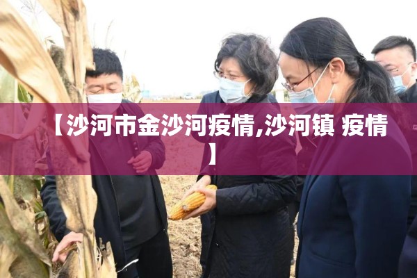【沙河市金沙河疫情,沙河镇 疫情】