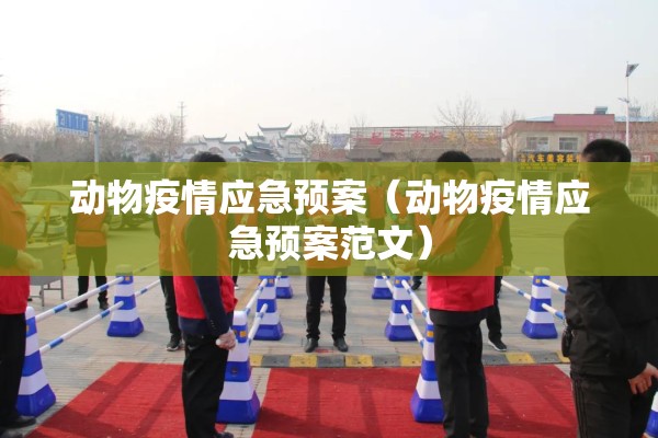 动物疫情应急预案（动物疫情应急预案范文）