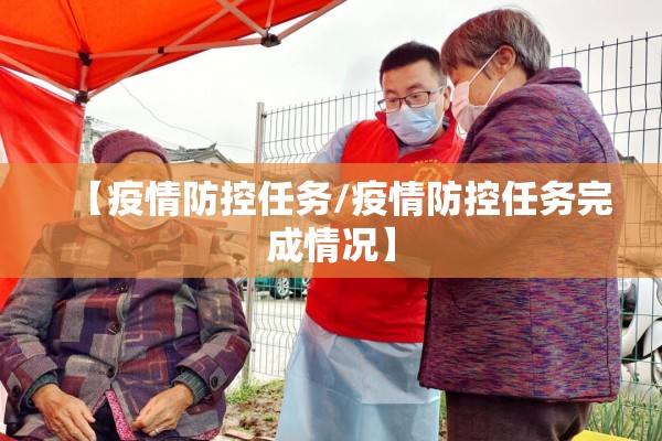【疫情防控任务/疫情防控任务完成情况】