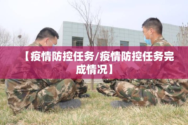 【疫情防控任务/疫情防控任务完成情况】
