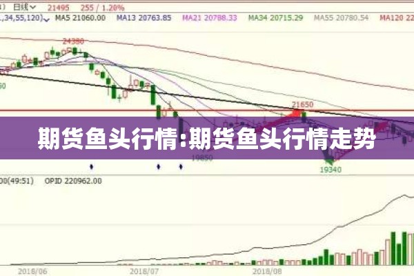 期货鱼头行情:期货鱼头行情走势