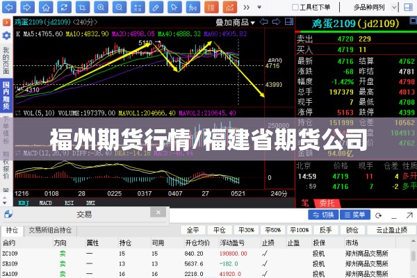 福州期货行情/福建省期货公司 福州期货行情/福建省期货公司