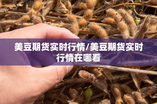 美豆期货实时行情/美豆期货实时行情在哪看 美豆期货实时行情/美豆期货实时行情在哪看