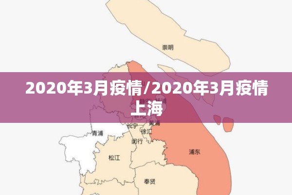 2020年3月疫情/2020年3月疫情上海