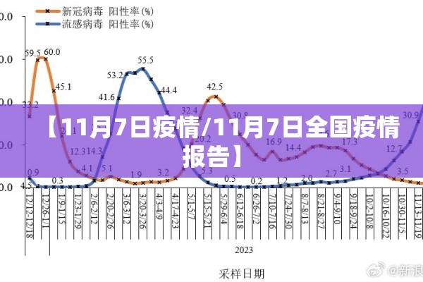 【11月7日疫情/11月7日全国疫情报告】