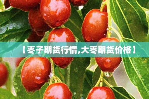 【枣子期货行情,大枣期货价格】