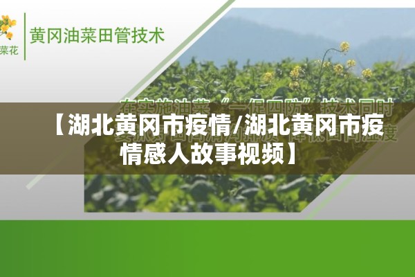 【湖北黄冈市疫情/湖北黄冈市疫情感人故事视频】