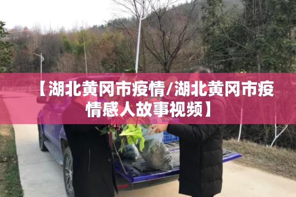【湖北黄冈市疫情/湖北黄冈市疫情感人故事视频】