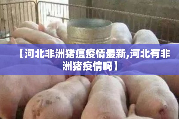 【河北非洲猪瘟疫情最新,河北有非洲猪疫情吗】