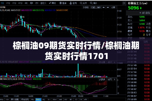 棕榈油09期货实时行情/棕榈油期货实时行情1701