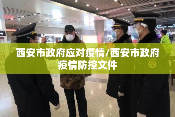 西安市政府应对疫情/西安市政府疫情防控文件