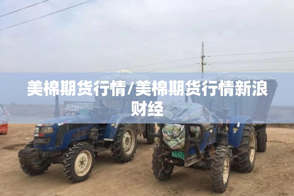 美棉期货行情/美棉期货行情新浪财经