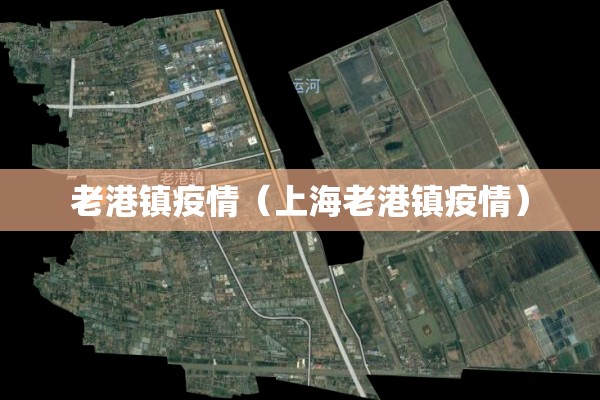 老港镇疫情（上海老港镇疫情）