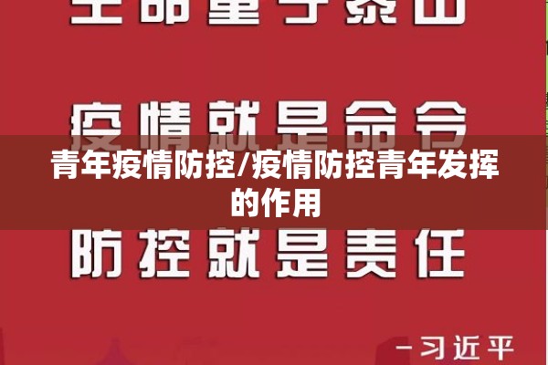 青年疫情防控/疫情防控青年发挥的作用