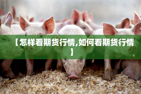 【怎样看期货行情,如何看期货行情】