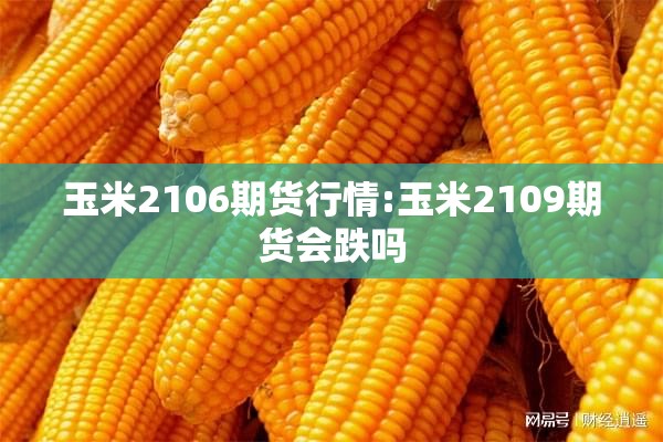 玉米2106期货行情:玉米2109期货会跌吗