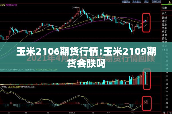 玉米2106期货行情:玉米2109期货会跌吗