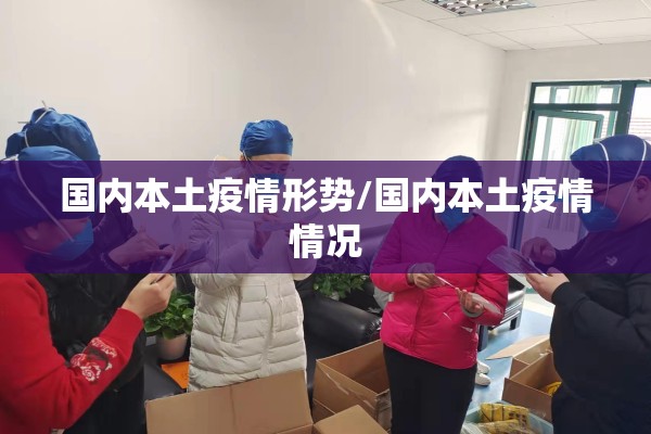 国内本土疫情形势/国内本土疫情情况