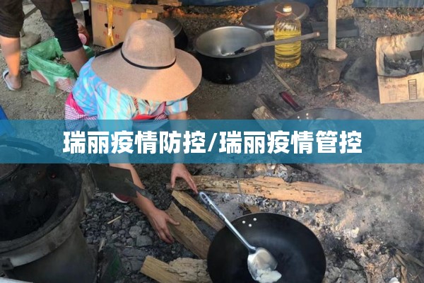 瑞丽疫情防控/瑞丽疫情管控