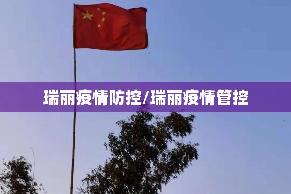 瑞丽疫情防控/瑞丽疫情管控