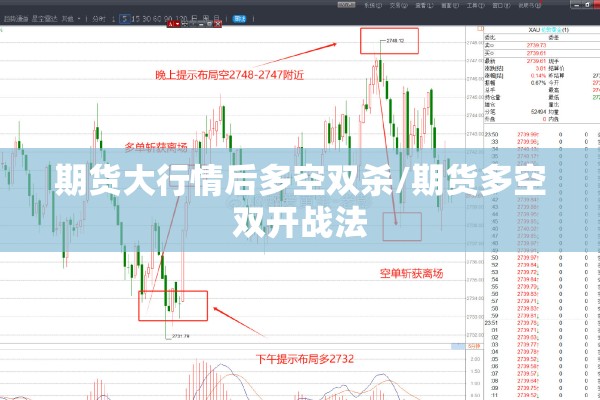 期货大行情后多空双杀/期货多空双开战法