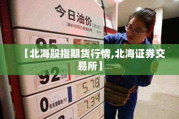 【北海股指期货行情,北海证券交易所】