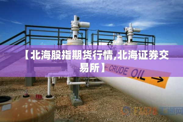 【北海股指期货行情,北海证券交易所】