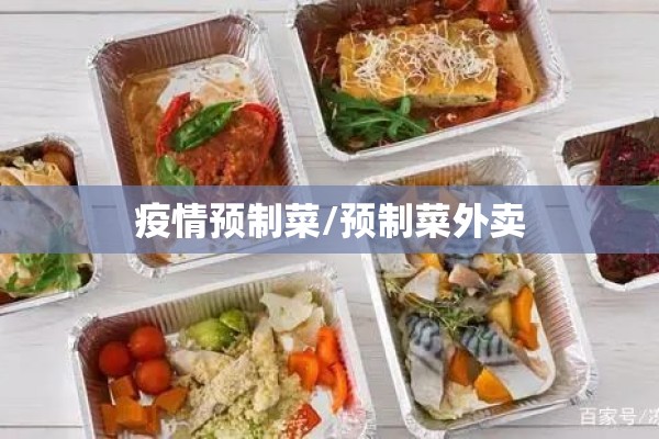 疫情预制菜/预制菜外卖