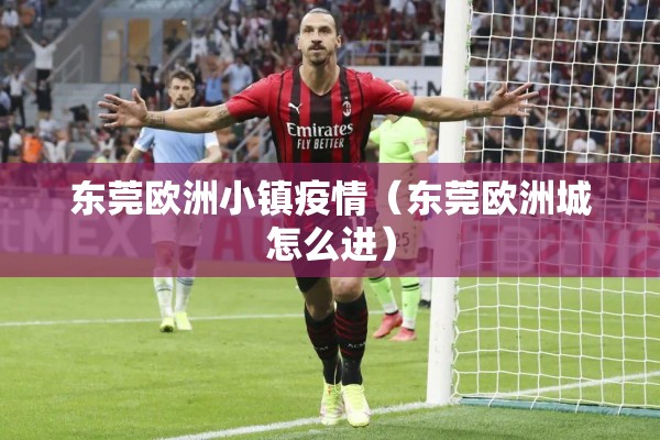 东莞欧洲小镇疫情（东莞欧洲城怎么进）