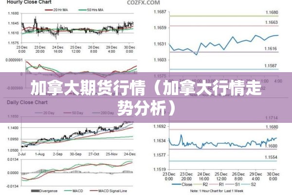 加拿大期货行情（加拿大行情走势分析）