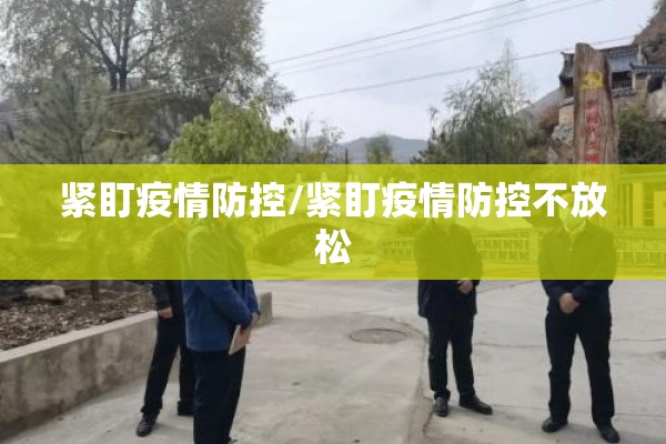 紧盯疫情防控/紧盯疫情防控不放松