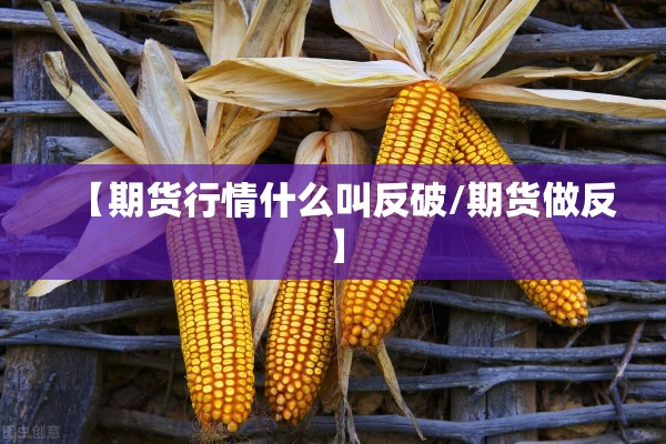 【期货行情什么叫反破/期货做反】