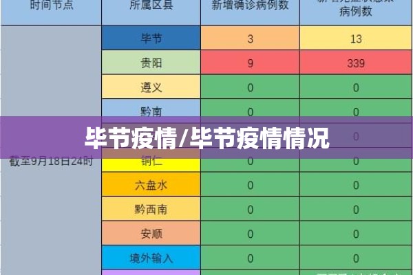 毕节疫情/毕节疫情情况