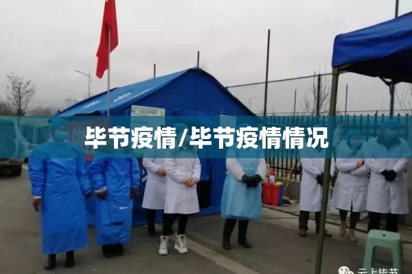 毕节疫情/毕节疫情情况
